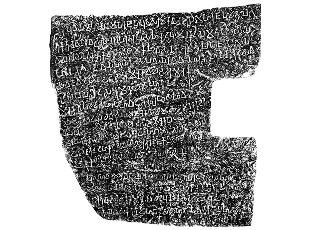 Image 100