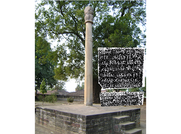 Image 13