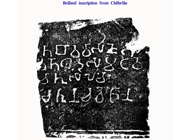 Image 21