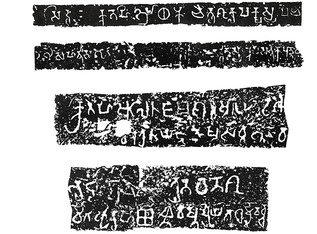 Image 29