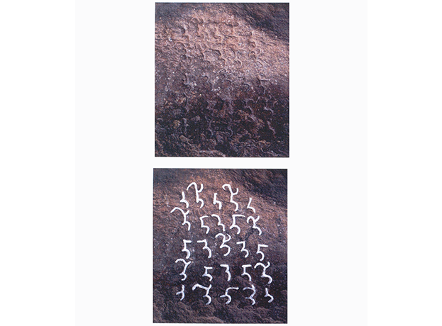 Image 31