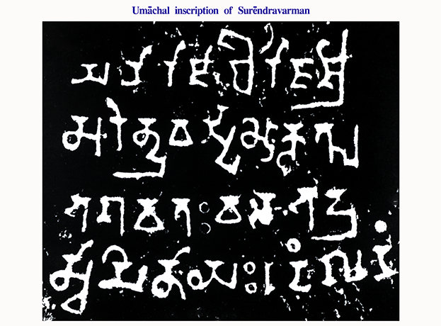 Image 46