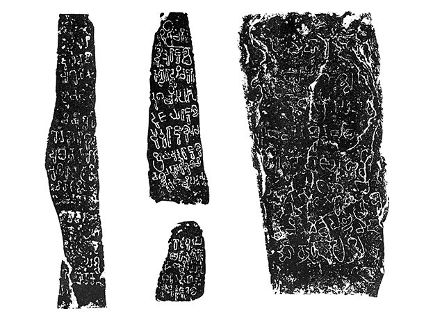 Image 50