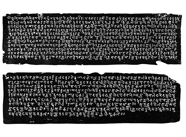 Image 66